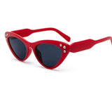 Ms Vanessa Sunglasses